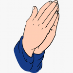 MSA Novena